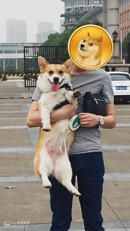 微信图片_20170827175736_副本.jpg