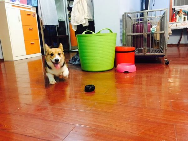 微信图片_20170827175601.jpg