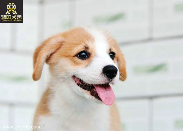 DSC_4743_副本.jpg