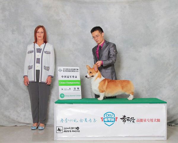 234648nrzghfko9gkuhfgk.jpg