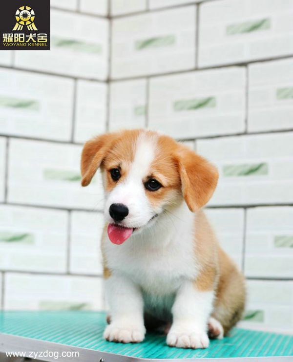 DSC_4750_副本.jpg