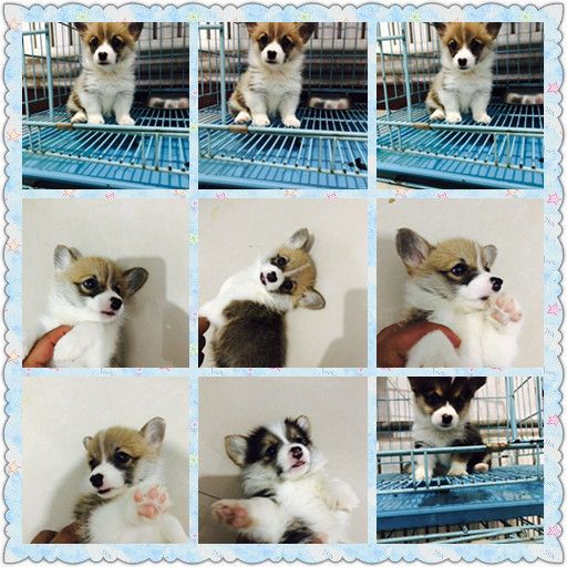 webwxgetmsgimg (27).jpg