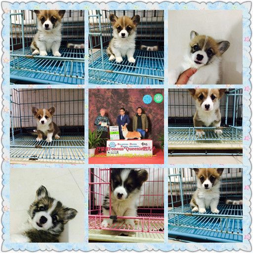 webwxgetmsgimg (28).jpg