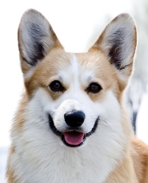 094624iixyik99oq9qijrm.jpg.thumb.jpg