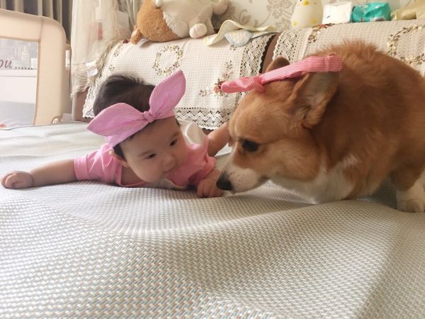 微信图片_20170901215332.jpg