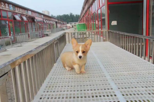 微信图片_20170903153026.jpg
