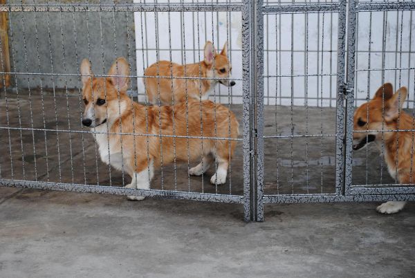 照片 026_爱奇艺.jpg