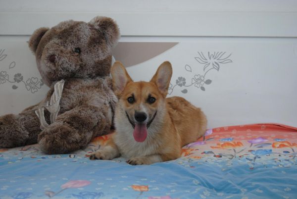 照片 001_爱奇艺.jpg