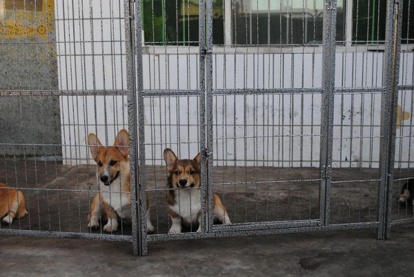 照片 004_爱奇艺.jpg