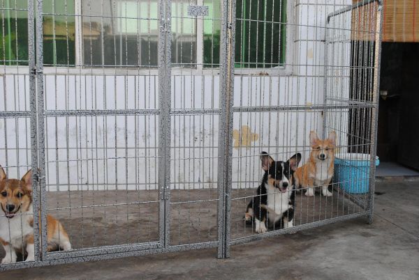 照片 005_爱奇艺.jpg