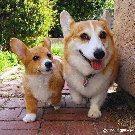 微信图片_20170905172147.jpg