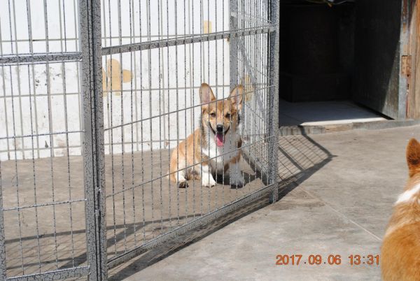 照片 151_爱奇艺.jpg