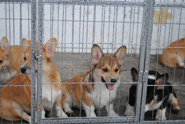 照片 030_爱奇艺.jpg