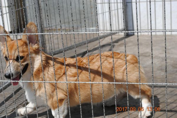 照片 053_爱奇艺.jpg