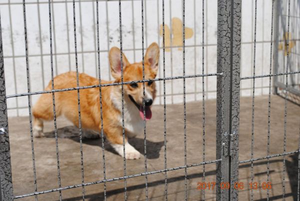 照片 054_爱奇艺.jpg