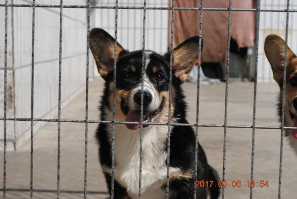 照片 395_爱奇艺.jpg