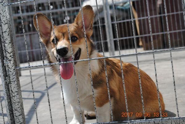 照片 227_爱奇艺.jpg