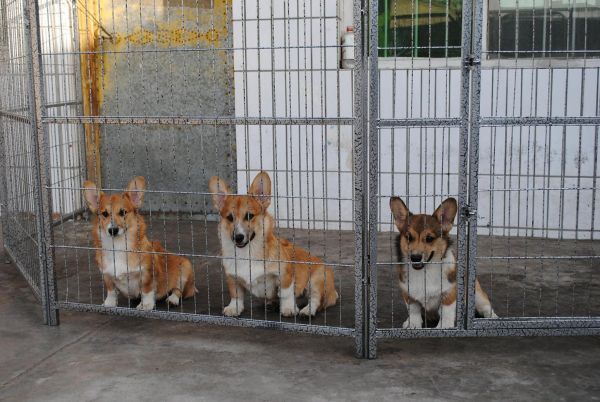 照片 006_爱奇艺.jpg