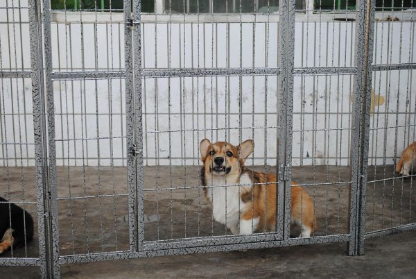 照片 020_爱奇艺.jpg