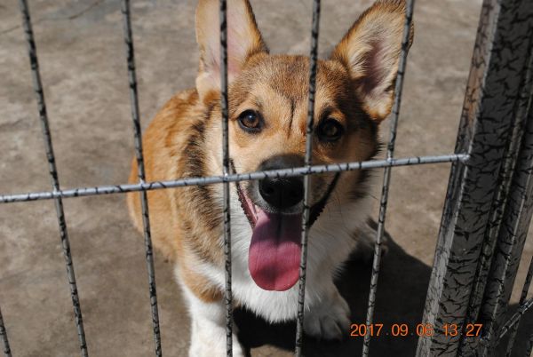 照片 122_爱奇艺.jpg