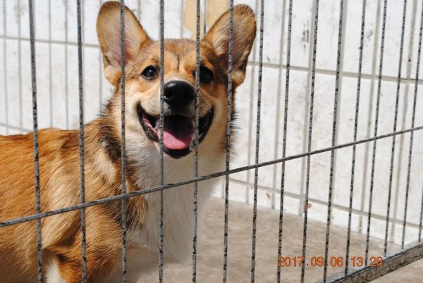 照片 136_爱奇艺.jpg