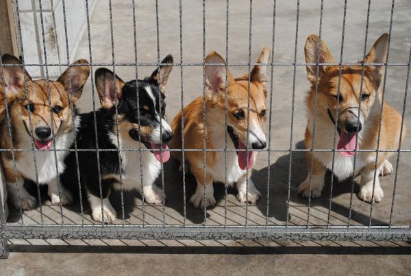 照片 453_爱奇艺.jpg