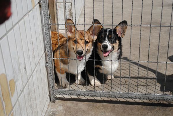 照片 455_爱奇艺.jpg