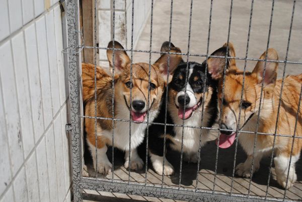 照片 456_爱奇艺.jpg