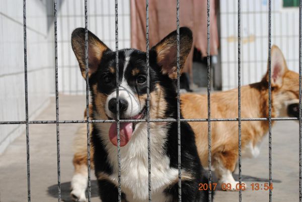 照片 401_爱奇艺.jpg