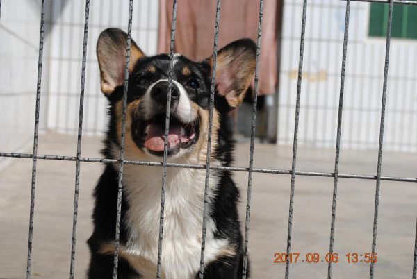 照片 409_爱奇艺.jpg