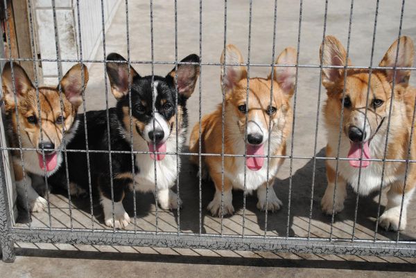 照片 452_爱奇艺.jpg