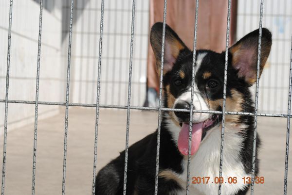 照片 346_爱奇艺.jpg