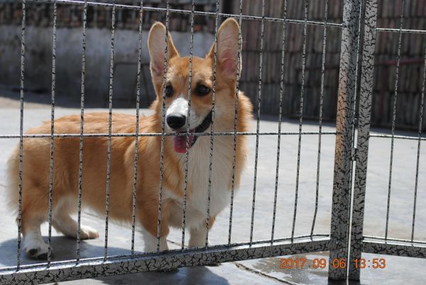 照片 350_爱奇艺.jpg