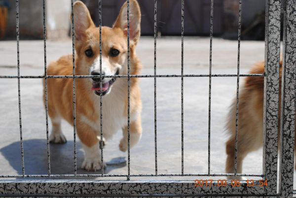 照片 389_爱奇艺.jpg