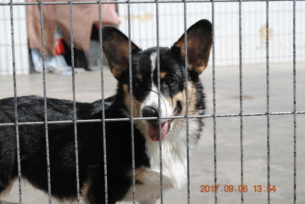 照片 394_爱奇艺.jpg