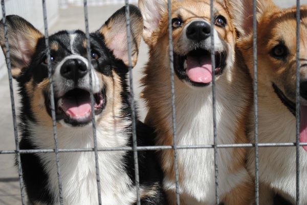 照片 658_爱奇艺.jpg