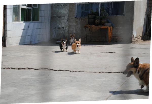 照片 600_爱奇艺.jpg