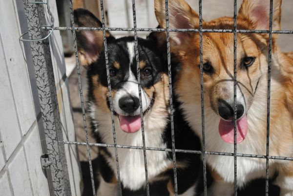 照片 627_爱奇艺.jpg