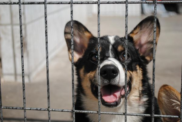 照片 646_爱奇艺.jpg