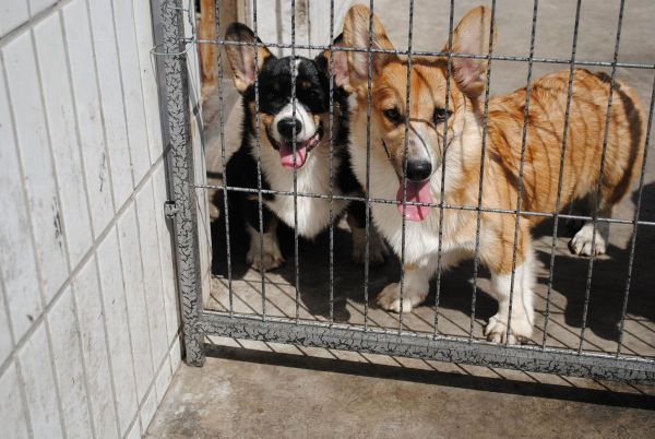 照片 461_爱奇艺.jpg