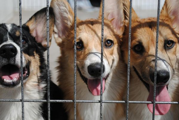 照片 650_爱奇艺.jpg