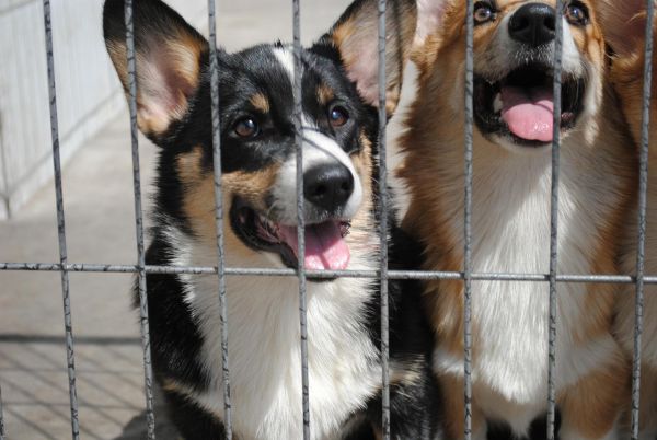 照片 657_爱奇艺.jpg