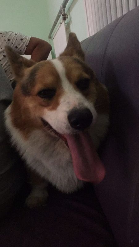 粑粑，因为是借配所以照片就两张，其实特别帅气好看