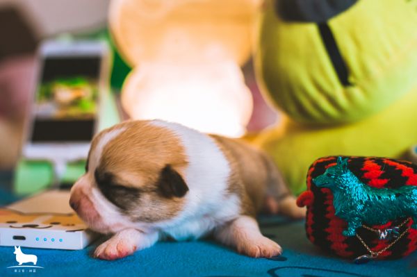 IMG_8842.JPG