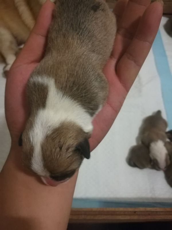 微信图片_20170907201518.jpg