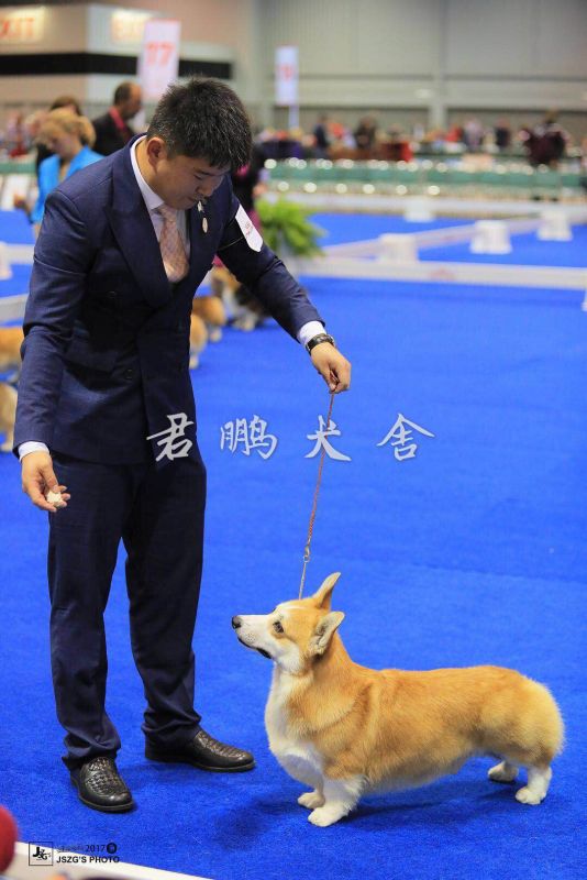 微信图片_20180104155946.jpg