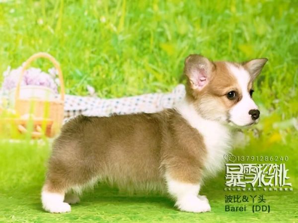 QQ图片20180105134212.jpg