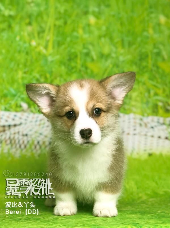 QQ图片20180105134140.jpg