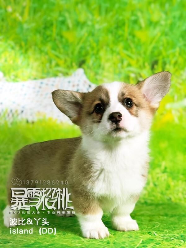 QQ图片20180105134224.jpg