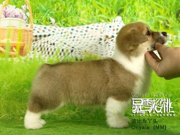 QQ图片20180106143936.jpg